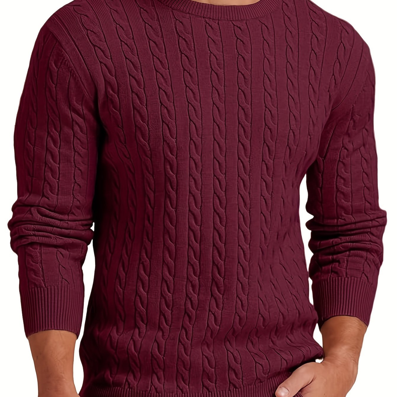 Men's Viscose Crew Neck Cable Knit Sweater