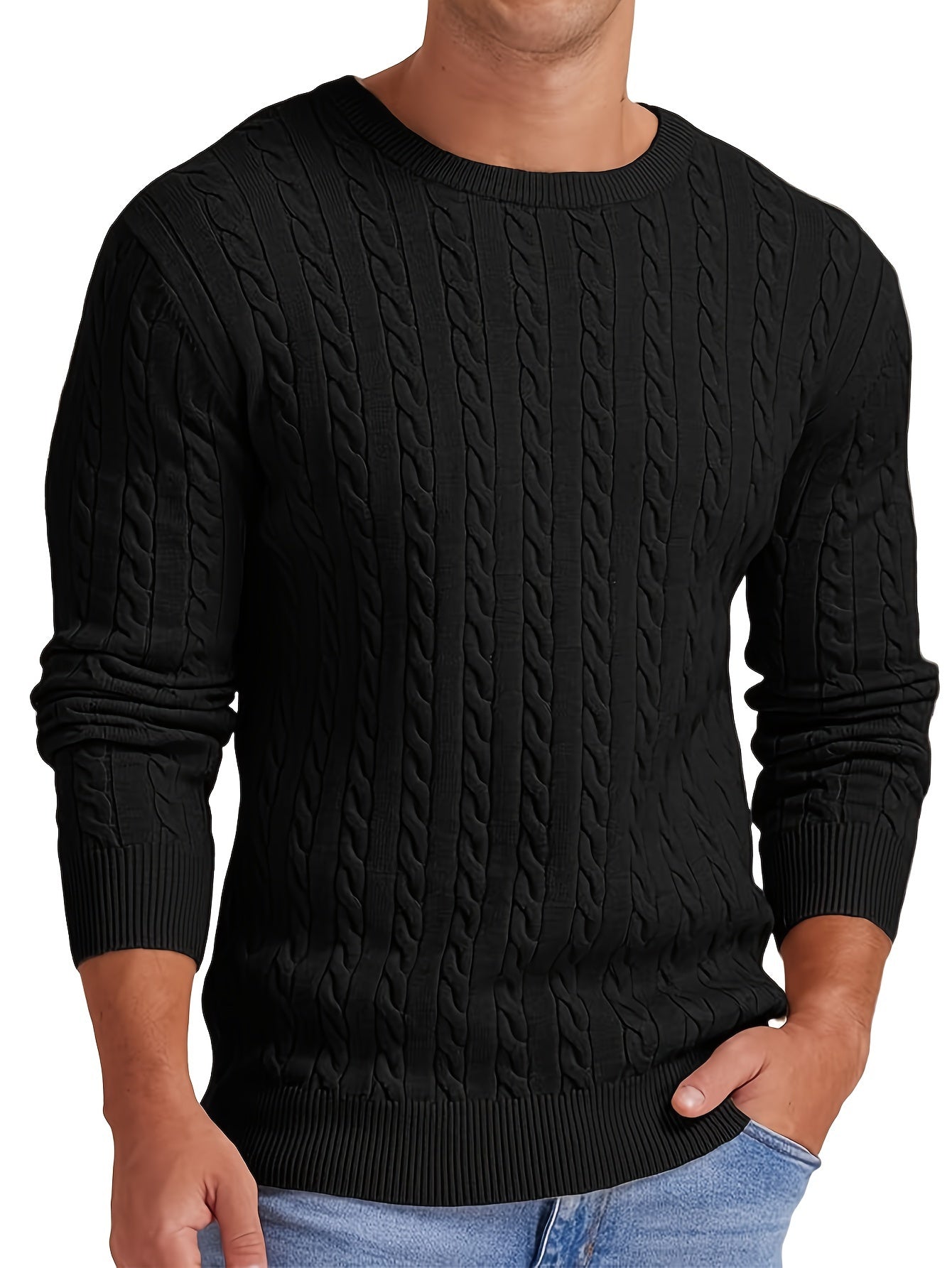 Men's Viscose Crew Neck Cable Knit Sweater